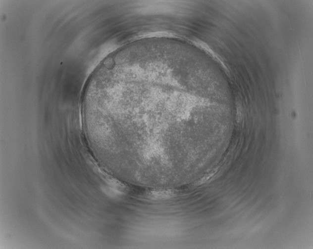 X0000074001274200609111549