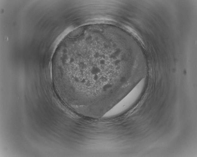 X0000074001275200609111549