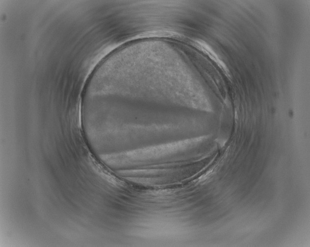 X0000074001276200609111549