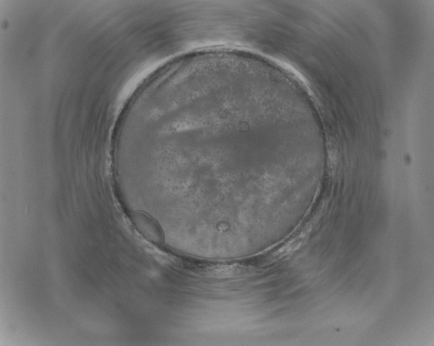 X0000074001279200609111549