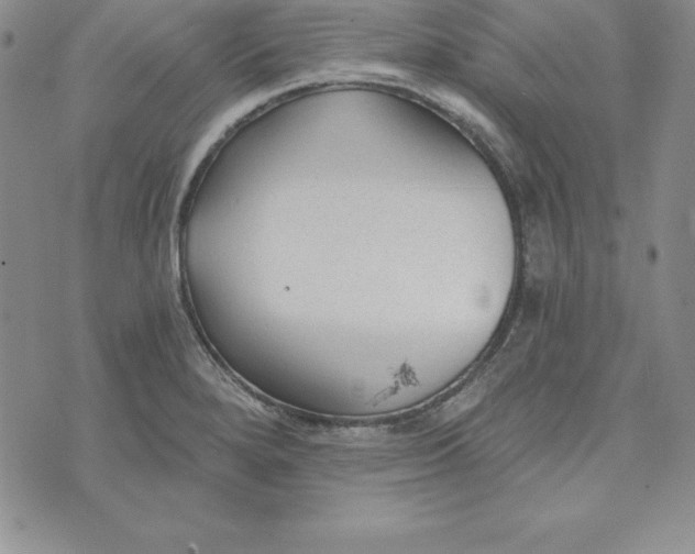 X0000074001280200609111549