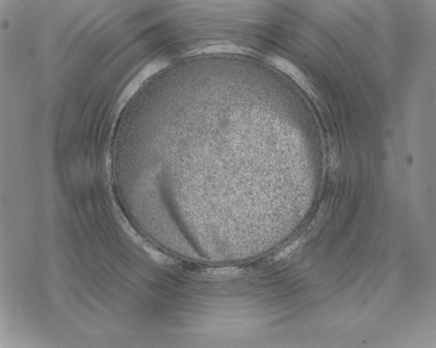 X0000074001282200609111549