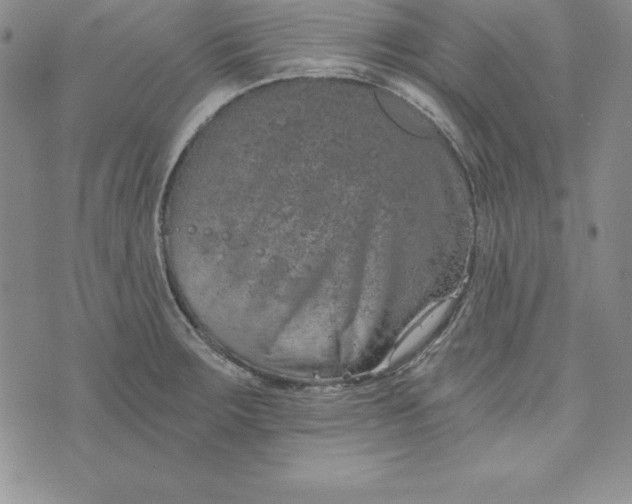 X0000074001283200609111549