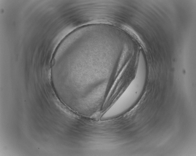 X0000074001284200609111549