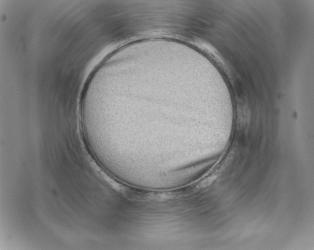 X0000074001286200609111549