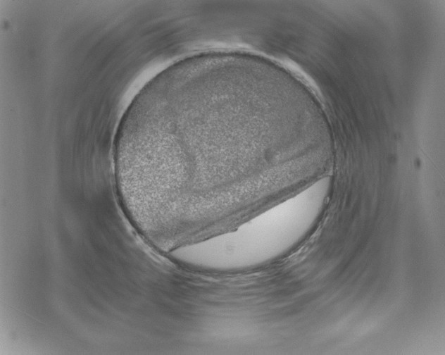 X0000074001287200609111549