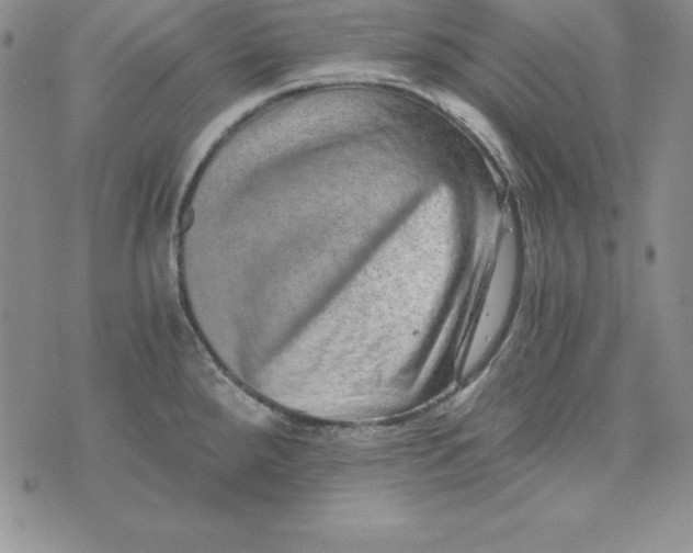 X0000074001288200609111549