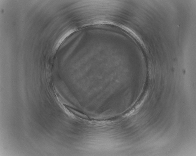 X0000074001289200609111549