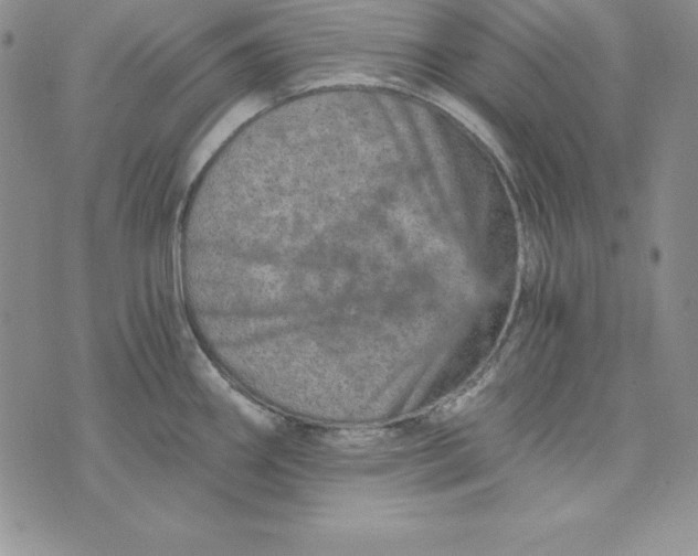 X0000074001290200609111549