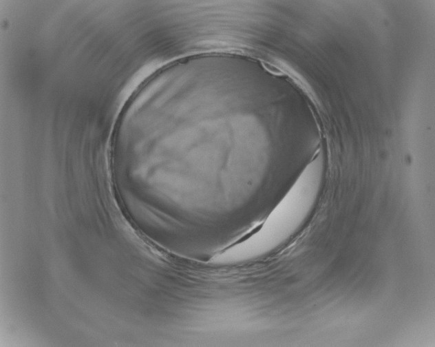 X0000074001291200609111549