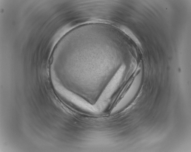 X0000074001292200609111549