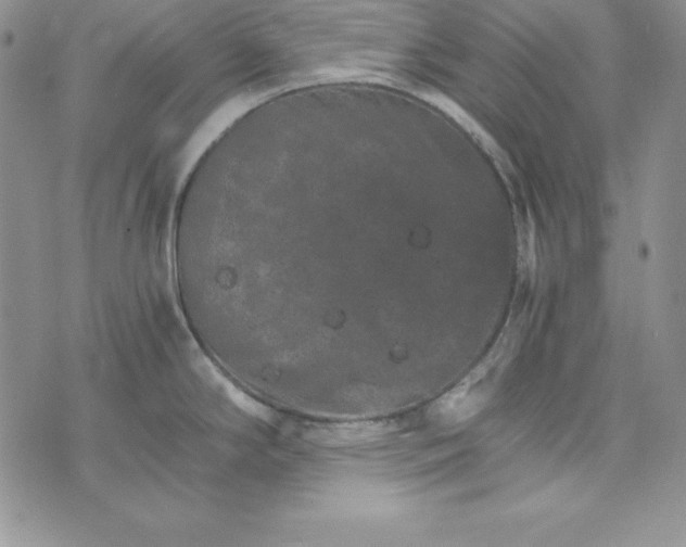 X0000074001294200609111549