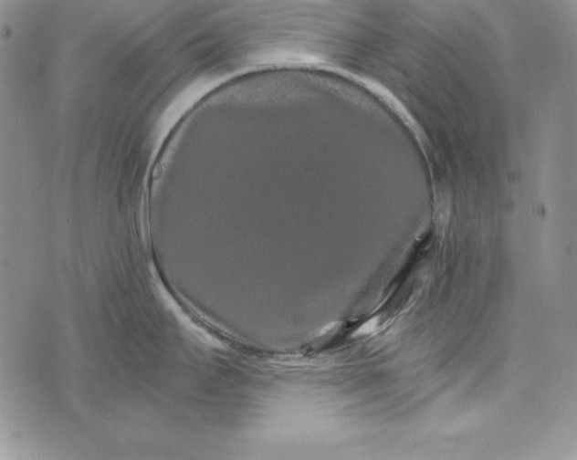 X0000074001295200609111549