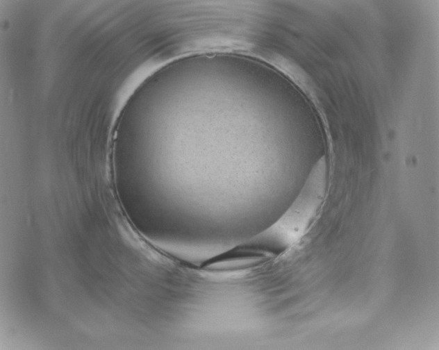 X0000074001296200609111549