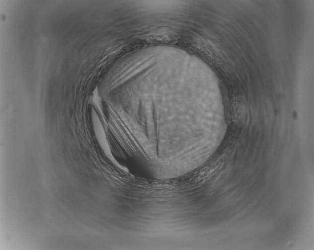 X0000074001297200609111548