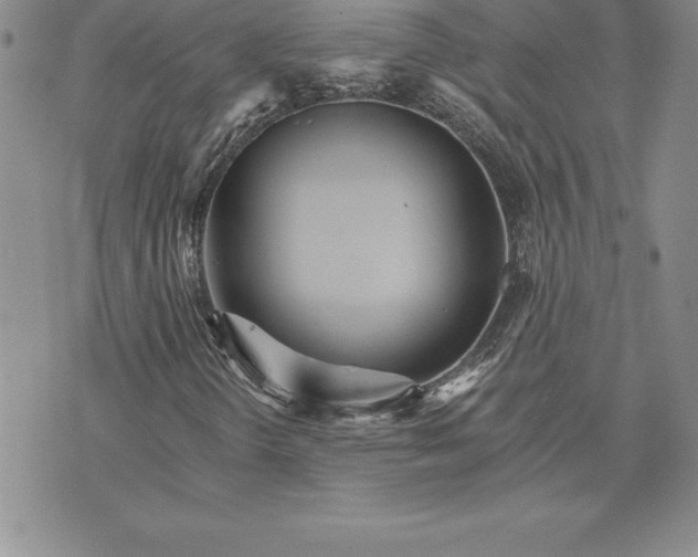 X0000074001298200609111548