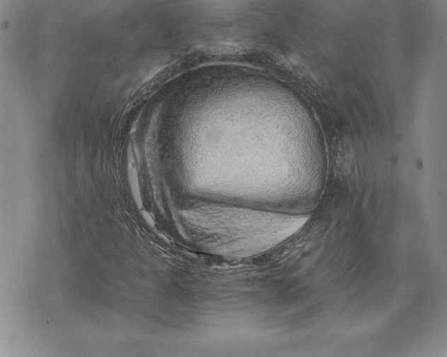 X0000074001301200609111548