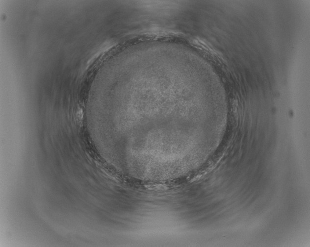 X0000074001302200609111548