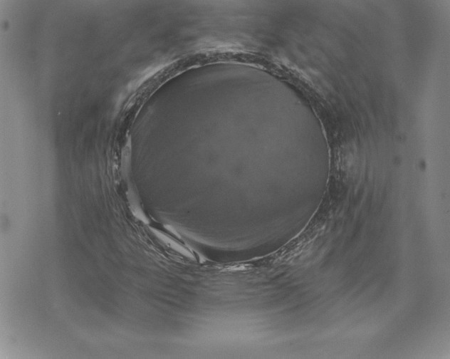 X0000074001303200609111548