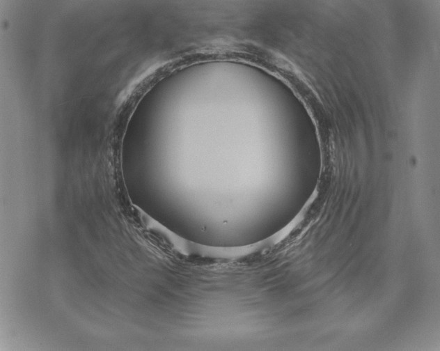 X0000074001304200609111548