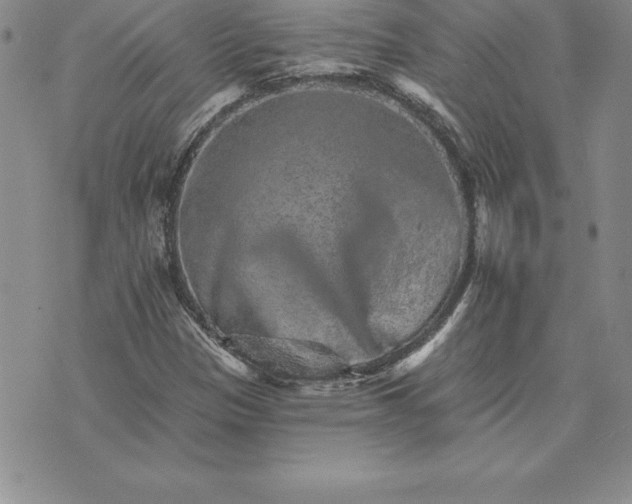 X0000074001305200609111548