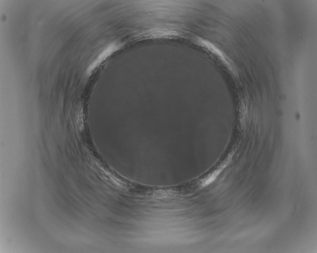 X0000074001306200609111548