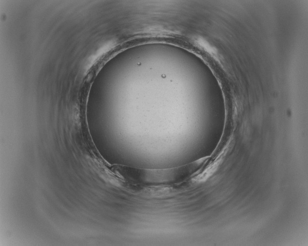 X0000074001307200609111548