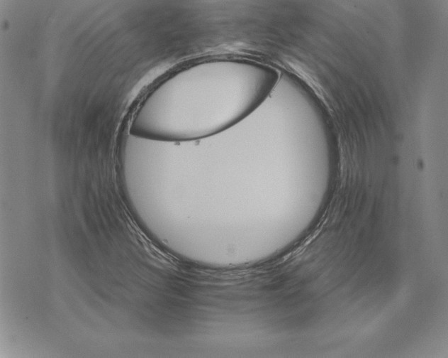 X0000074001308200609111548