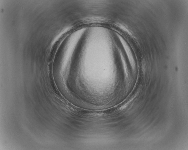 X0000074001309200609111548