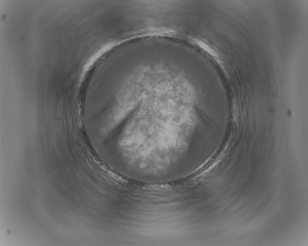 X0000074001310200609111548