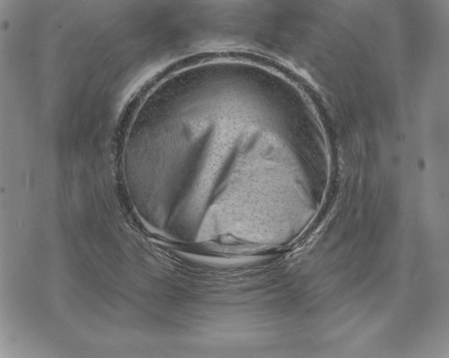 X0000074001311200609111548