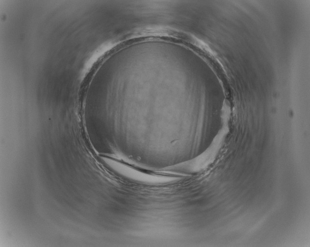 X0000074001312200609111548