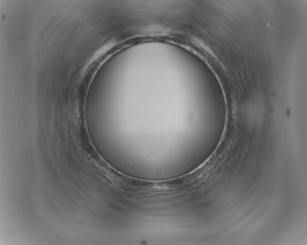 X0000074001315200609111548