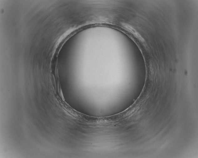 X0000074001316200609111548