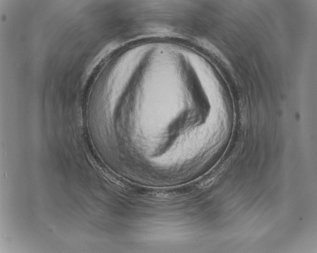 X0000074001318200609111548