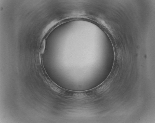 X0000074001320200609111548