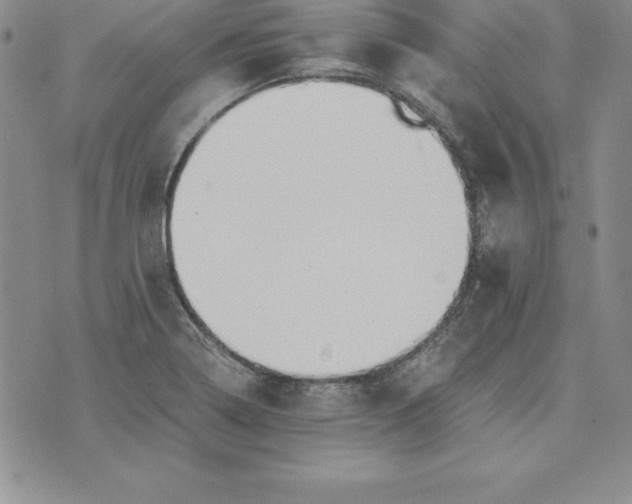 X0000074001322200609111548