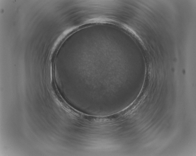 X0000074001323200609111548