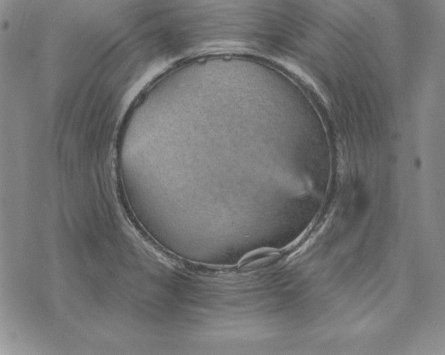 X0000074001325200609111548