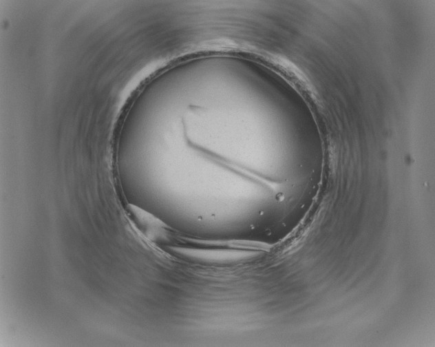 X0000074001326200609111548