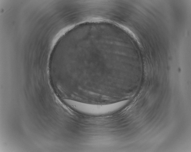 X0000074001327200609111548