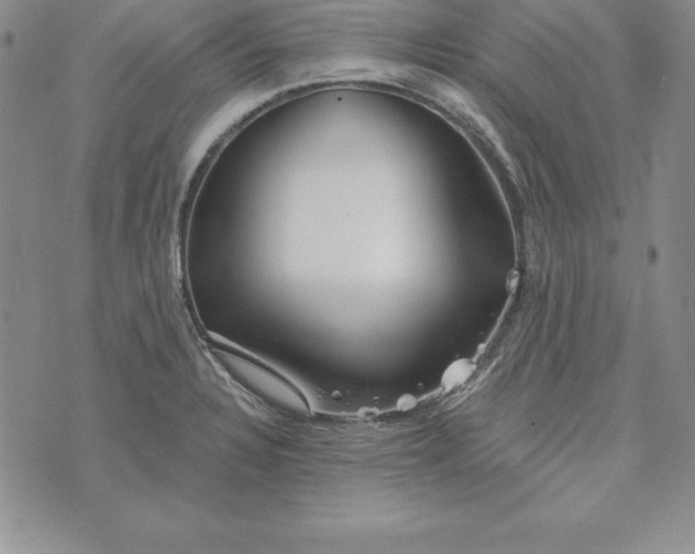 X0000074001328200609111549