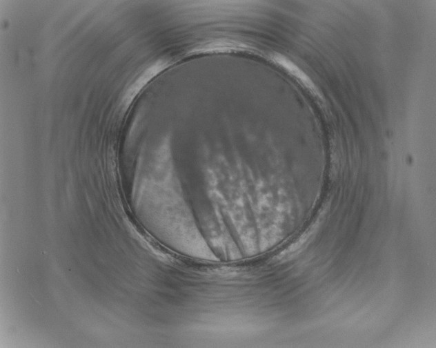 X0000074001329200609111549