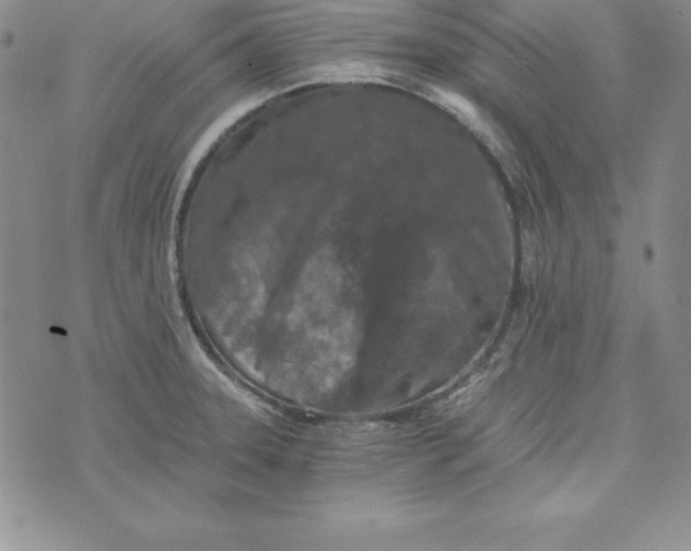 X0000074001331200609111549