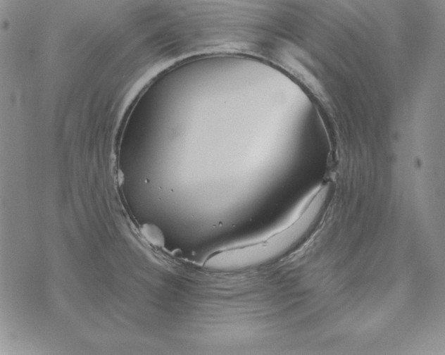 X0000074001332200609111549