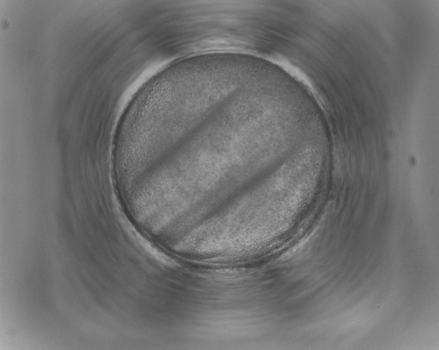 X0000074001333200609111549