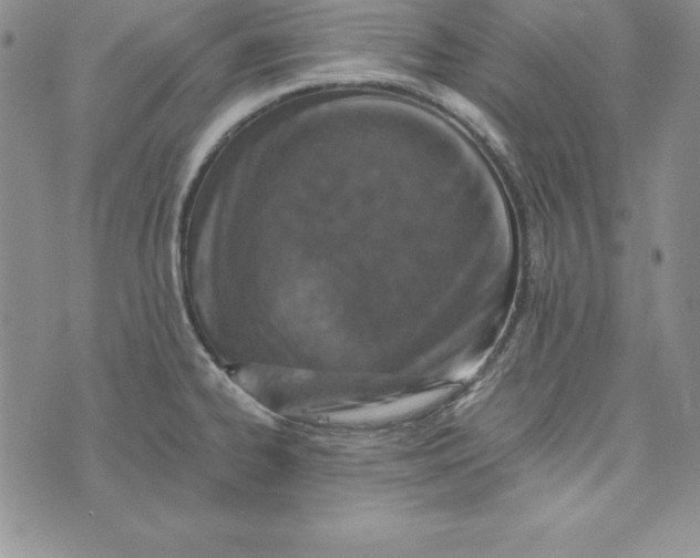 X0000074001334200609111549