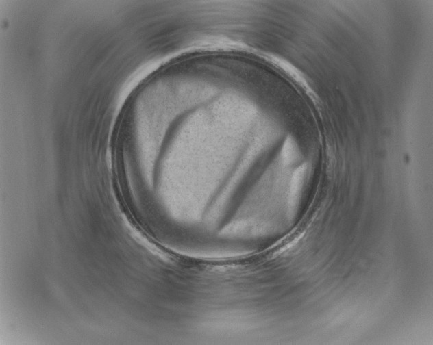 X0000074001335200609111549