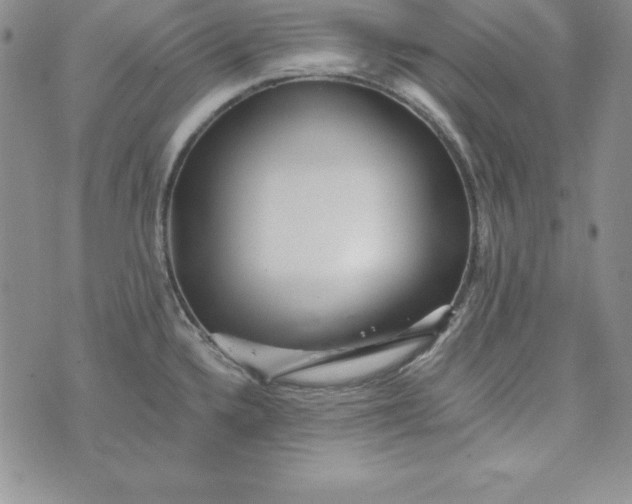 X0000074001336200609111549