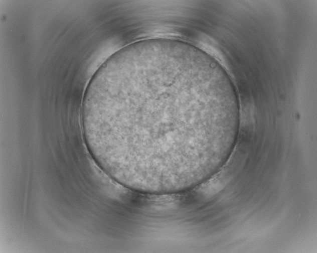 X0000074001338200609111549